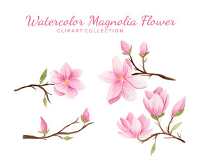 Isolated watercolor magnolia flower clipart collection.