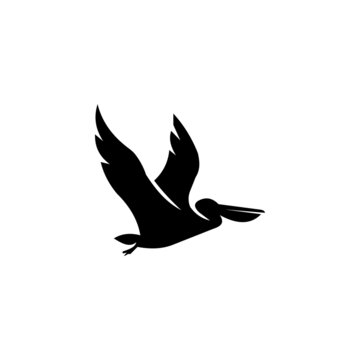 recommend clip art: Pelican logo design, Silhouette Pelicans bird logos concept