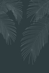 White lines pattern of tropical leaves pattern style on gray background, flat line vector and illustration.