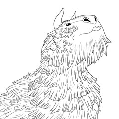 Black and white coloring page ink illustration of a dragon.