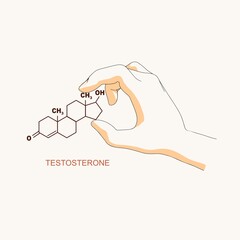 Hand holding chemical molecular formula of hormone testosterone.
