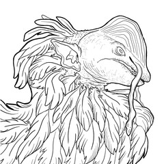 Black and white coloring page ink illustration of a dragon.