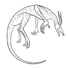 Obraz premium Black and white coloring page ink illustration of a dragon.