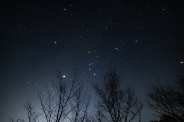 night sky with stars
凍えるような寒い夜に南の空に昇る冬の大三角