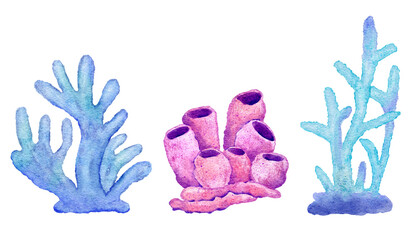 Watercolor illustration of corals in blue turquoise purple colors, ocean sea underwater wildlife animals. Nautical summer beach design, Australian reef life nature, natural environment clipart. © Marina Lahereva