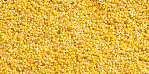 Raw dry millet texture background