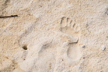 Footprints on the beach sand