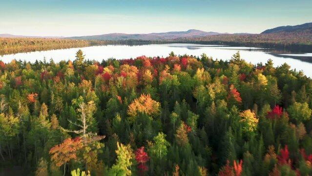 Epic drone flight above scenic lake with still water surface. Beautiful fall landscape background with text space. Colorful vibrant autumn forest with bright yellow red orange green leaves tree tops