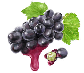 果汁の滴る巨峰のイラスト　葉っぱと粒あり
