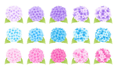 数種類の紫陽花のベクターイラスト