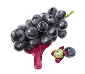 果汁の滴る巨峰のイラスト　葉っぱなし
