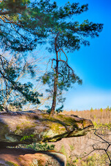 Altschlosspfad Wandergebiet bei Eppenbrunn