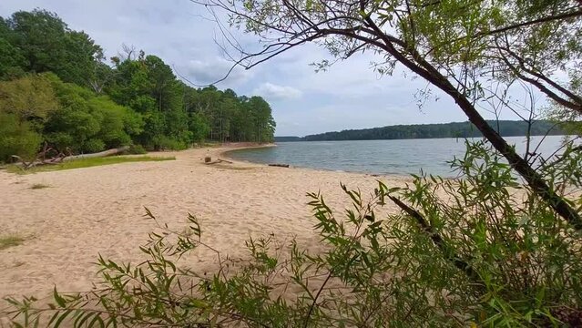 Deserted beachfront at the at Ebenezer Church Day-Use Area of Jordan Lake State Recreation Area. Dramatic clouds and driftwood in the foreground. Clean sand, no trash. Gentle waves lapping the shore.