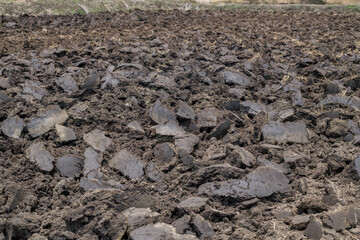 Black soil plowed field, Preparing farmland with seedbed for the next year