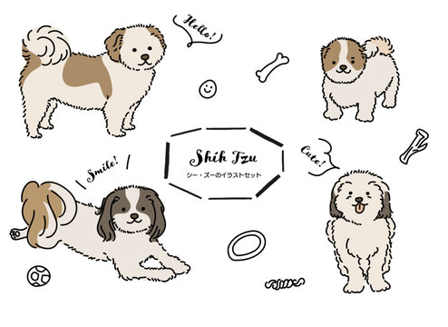 シーズー Images Browse 1 133 Stock Photos Vectors And Video Adobe Stock