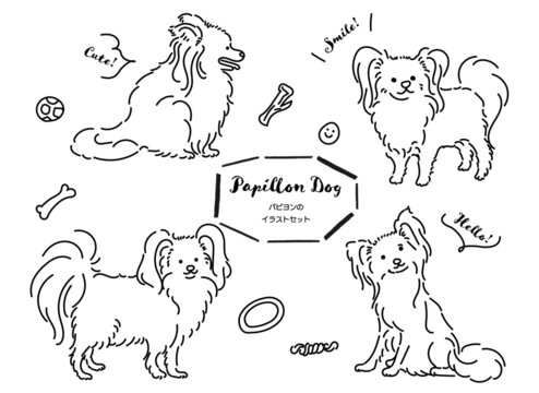 パピヨン の画像 43 461 件の Stock 写真 ベクターおよびビデオ Adobe Stock