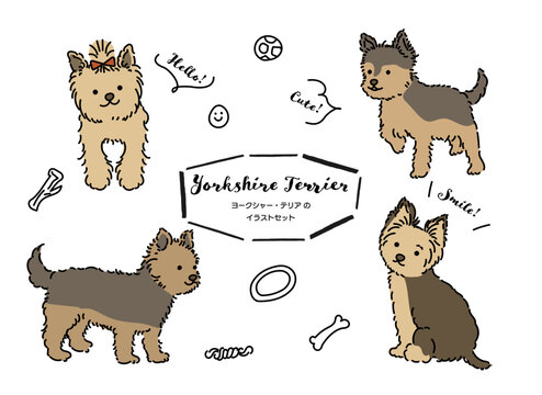 ヨークシャーテリア　犬の手書きイラストセット