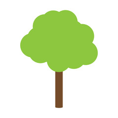 tree isolated on white background