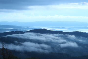 神威岳の雲海