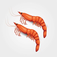prawns in white background. vector illustration design