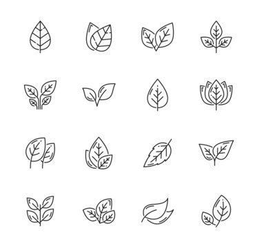 Linear leaf icons, tree plant or nature leaves vector outline symbols. Leaf symbols for eco, bio and organic or vegan and vegetarian, environment, ecology and farming, gardening