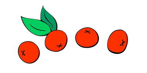 Vector small hand drawn red berries singly. Rowan berries, viburnum, blueberry, lingonberry, cranberry. Decorative design element, clipart in doodle flat style, isolated