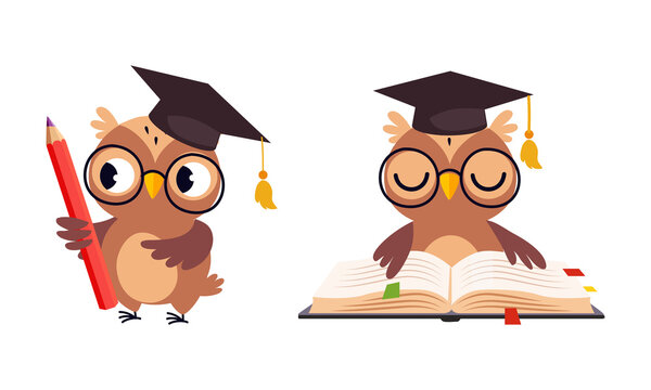 Cute Owl in Glasses in Graduation Hat Reading Book and Holding Pencil Vector Set