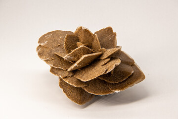 Horizontal image, close up on the selenit mineral also known as the desert rose, gypsum flower or...