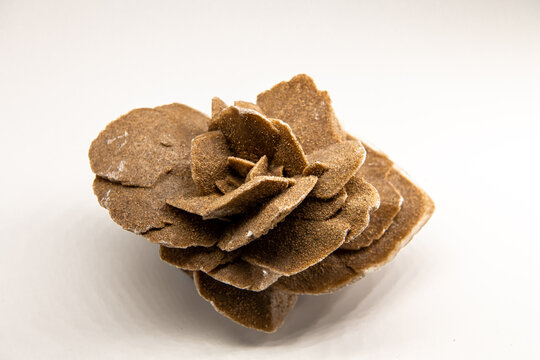 Horizontal close up shot of the selenit mineral, gypsum flower, desert rose or satin spar isolated on white, souvenir from the Gobi desert, copy space for text