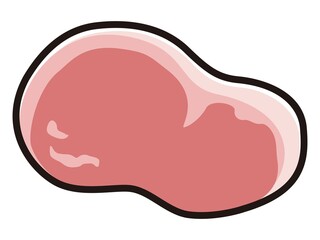 豚モモ肉のキャタクターのイラスト