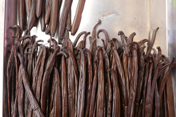 Real fresh vanilla from la reunion island madagascar vanille bourbon . High quality photo