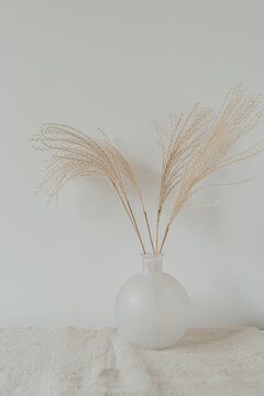 Elegant gentle dried grass bouquet in glass vase