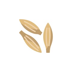 Caraway seed flat icon