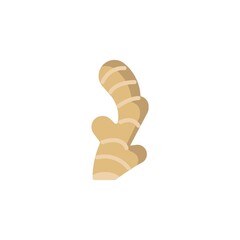 Ginger root flat icon
