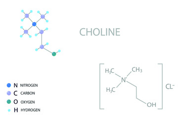 Choline molecular skeletal 3D chemical formula.	