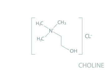 Choline molecular skeletal chemical formula.	