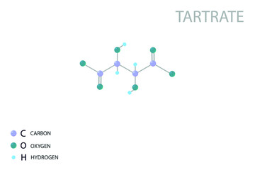 Tartrate molecular skeletal 3D chemical formula.	