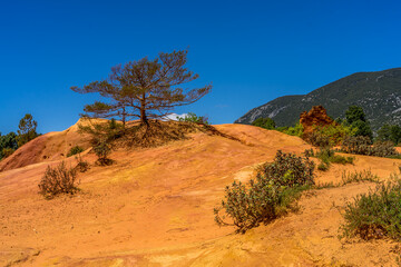 Paysage campagne 1335