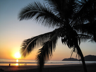 Costa Rica plage ocean palmier ocean environnement climat soleil planete