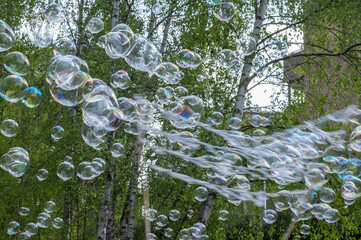 Beautiful soap bubbles fly on trees background