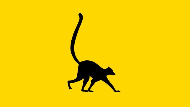Walking lemur, animation on the yellow background (seamless loop)