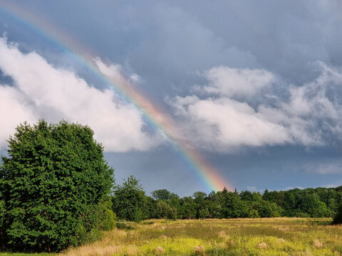 Spectacular panoramic view of green meadow, trees  and beautiful rainbow with cumulus clouds 