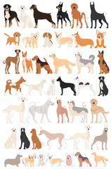 dogs set in flat design, isolated on white background vector