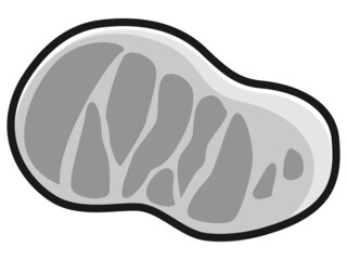 牛肉のキャタクターのイラスト