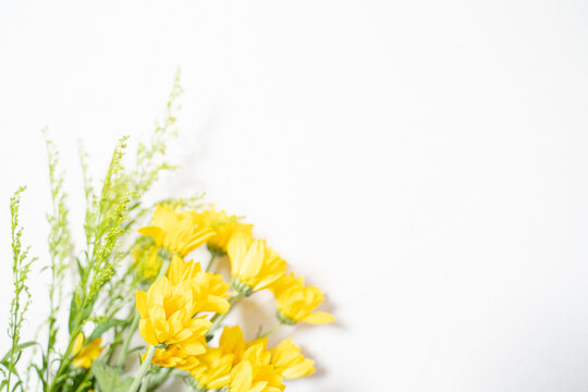 黄色のお花のボタニカルフレーム