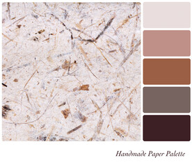 Handmade paper background in a colour palette with complimentary colour swatches in natural brown and beige hues. 