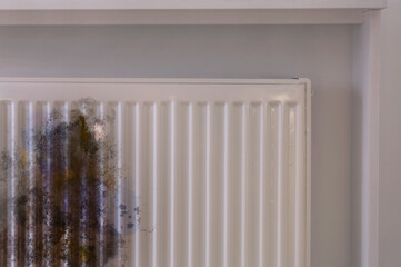 Modern panel radiator affected by rust indoors
