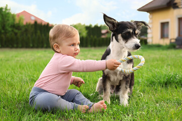 Adorable baby and furry little dog on green grass outdoors