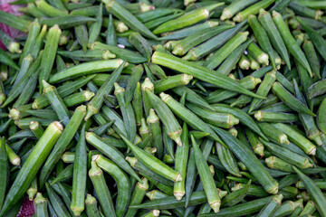 Fresh Okra(Lady Finger) Full Frame crop.
