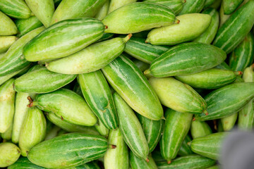 These are raw pointed gourd. Potol vegetable is a vine plant